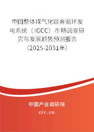 中國整體煤氣化聯合循環發電系統（IGCC）市場調查研究與發展趨勢預測報告（2025-2031年）