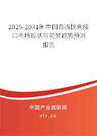 2025-2031年中國直流快充接口市場現狀與前景趨勢預測報告