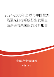 2024-2030年全球與中國紫外線激光打標系統行業發展全面調研與未來趨勢分析報告