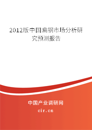 2012版中國扁鋼市場分析研究預測報告