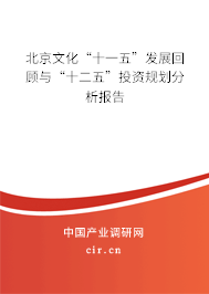 北京文化“十一五”發展回顧與“十二五”投資規劃分析報告