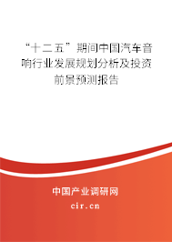“十二五”期間中國汽車音響行業發展規劃分析及投資前景預測報告