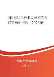 中國碳酸鈉行業發展研究與趨勢預測報告（2025年）