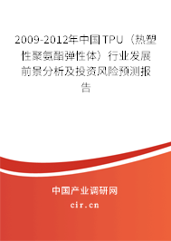 2009-2012年中國TPU（熱塑性聚氨酯彈性體）行業(yè)發(fā)展前景分析及投資風(fēng)險預(yù)測報告