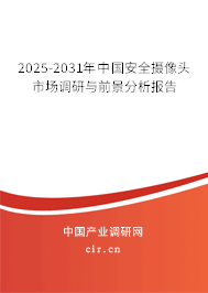 2024-2030年中國安全攝像頭市場調(diào)研與前景分析報告
