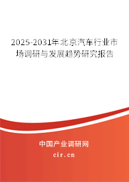 2025-2031年北京汽車行業(yè)市場調(diào)研與發(fā)展趨勢研究報(bào)告