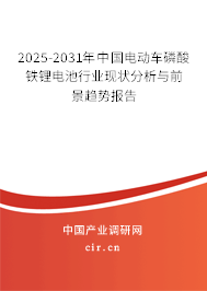 2025-2031年中國電動車磷酸鐵鋰電池行業(yè)現(xiàn)狀分析與前景趨勢報告