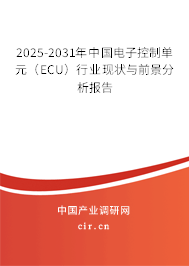 2025-2031年中國電子控制單元（ECU）行業現狀與前景分析報告