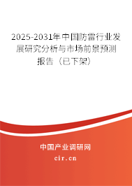 2025-2031年中國防雷行業發展研究分析與市場前景預測報告（已下架）