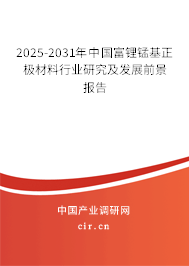 2025-2031年中國富鋰錳基正極材料行業研究及發展前景報告