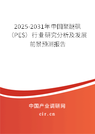 2025-2031年中國聚醚砜（PES）行業研究分析及發展前景預測報告