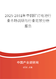 2025-2031年中國礦燈電池行業(yè)市場調(diào)研與行業(yè)前景分析報告