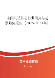 中國(guó)馬達(dá)鐵芯行業(yè)研究與前景趨勢(shì)報(bào)告（2025-2031年）