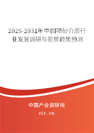 2025-2031年中國噴砂介質行業發展調研與前景趨勢預測