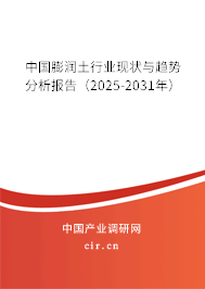 中國膨潤土行業現狀與趨勢分析報告（2025-2031年）