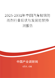 2025-2031年中國汽車玻璃防雨劑行業現狀與發展前景預測報告