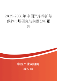 2025-2031年中國汽車維護(hù)與保養(yǎng)市場研究與前景分析報告