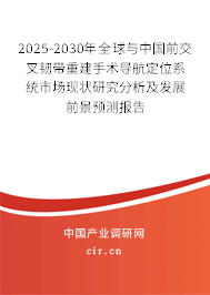 2025-2030年全球與中國前交叉韌帶重建手術導航定位系統市場現狀研究分析及發展前景預測報告