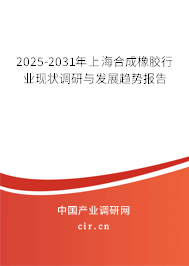 2025-2031年上海合成橡膠行業(yè)現(xiàn)狀調(diào)研與發(fā)展趨勢(shì)報(bào)告