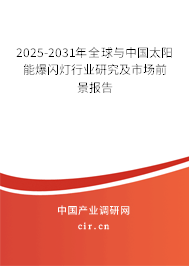 2025-2031年全球與中國太陽能爆閃燈行業(yè)研究及市場前景報(bào)告
