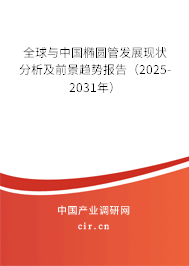 全球與中國橢圓管發(fā)展現(xiàn)狀分析及前景趨勢報告（2025-2031年）