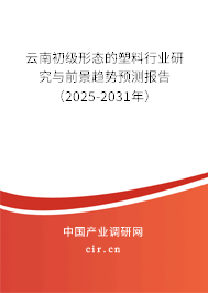 云南初級形態的塑料行業研究與前景趨勢預測報告（2025-2031年）