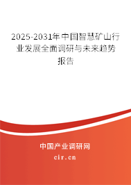 2025-2031年中國智慧礦山行業發展全面調研與未來趨勢報告