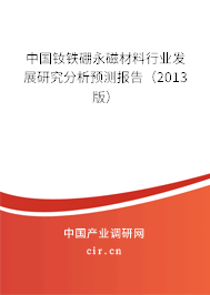 中國釹鐵硼永磁材料行業發展研究分析預測報告（2013版）