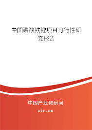 中國(guó)磷酸鐵鋰項(xiàng)目可行性研究報(bào)告