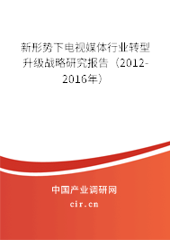 新形勢下電視媒體行業(yè)轉(zhuǎn)型升級(jí)戰(zhàn)略研究報(bào)告（2012-2016年）