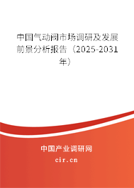 中國氣動閥市場調研及發展前景分析報告（2025-2031年）