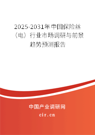 2025-2031年中國保險絲（電）行業市場調研與前景趨勢預測報告