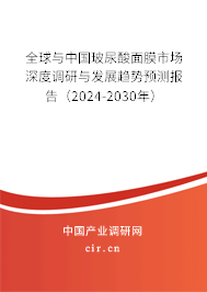 全球與中國玻尿酸面膜市場深度調研與發展趨勢預測報告（2024-2030年）