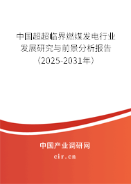 中國超超臨界燃煤發電行業發展研究與前景分析報告（2025-2031年）