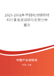 2025-2031年中國電池硬碳材料行業(yè)發(fā)展調(diào)研與前景分析報(bào)告