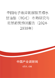 中國電子級異氰脲酸三縮水甘油酯（TGIC）市場研究與前景趨勢預測報告（2024-2030年）