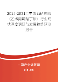 2025-2031年中國EBA樹脂（乙烯丙烯酸丁酯）行業現狀深度調研與發展趨勢預測報告