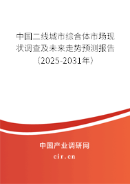 中國二線城市綜合體市場現狀調查及未來走勢預測報告（2025-2031年）