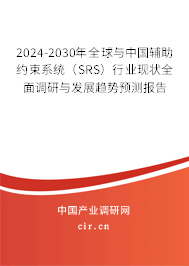 2024-2030年全球與中國輔助約束系統(tǒng)（SRS）行業(yè)現(xiàn)狀全面調(diào)研與發(fā)展趨勢預測報告