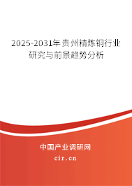 2025-2031年貴州精煉銅行業研究與前景趨勢分析