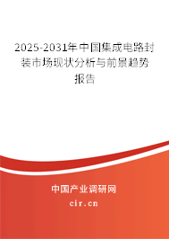 2025-2031年中國集成電路封裝市場現狀分析與前景趨勢報告