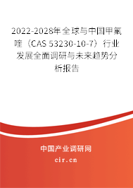2022-2028年全球與中國甲氟喹（CAS 53230-10-7）行業(yè)發(fā)展全面調(diào)研與未來趨勢(shì)分析報(bào)告