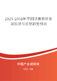 2025-2031年中國潔面慕斯發展現狀與前景趨勢預測