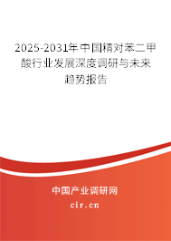 2025-2031年中國精對苯二甲酸行業發展深度調研與未來趨勢報告