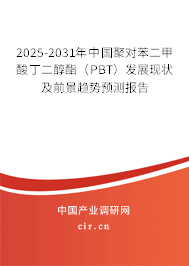 2025-2031年中國聚對苯二甲酸丁二醇酯（PBT）發(fā)展現(xiàn)狀及前景趨勢預(yù)測報告
