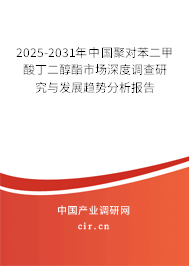 2025-2031年中國聚對苯二甲酸丁二醇酯市場深度調查研究與發展趨勢分析報告