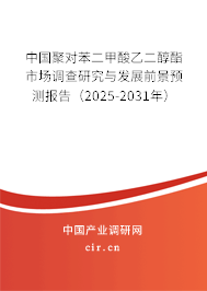中國聚對苯二甲酸乙二醇酯市場調查研究與發展前景預測報告（2025-2031年）