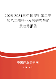 2024-2030年中國(guó)聚對(duì)苯二甲酸乙二酯行業(yè)發(fā)展研究與前景趨勢(shì)報(bào)告