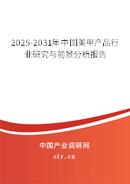2025-2031年中國美甲產品行業研究與前景分析報告