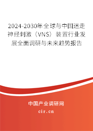 2024-2030年全球與中國迷走神經刺激（VNS）裝置行業發展全面調研與未來趨勢報告